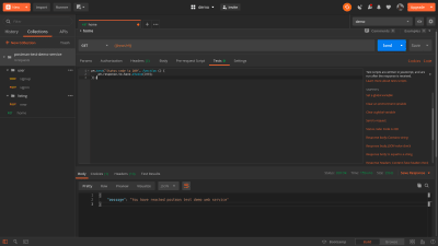 how Postman would look like after clicking on a test snippet