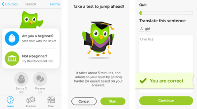 Duolingo has a user-guided tour that consists of a quick test.