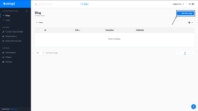 A screenshot of the Blog collection type with the 'add new blog' button highlighted