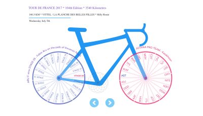 Build an interactive infographic with Vue.js, SVG and GreenSock