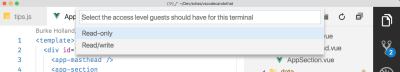 vs code prompting to share terminal as read-only or read-write