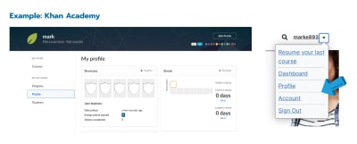 Khan Academy’s user profile