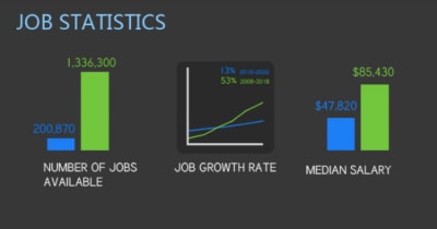 Visual.ly infographic: web designer vs. web developer job statistics