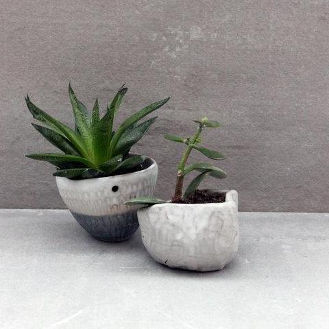 Handbuilding pottery workshop