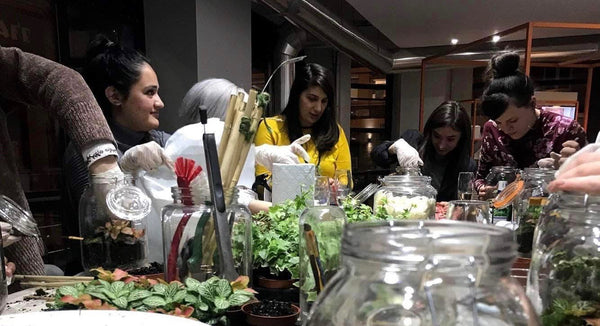 Terrarium Design School