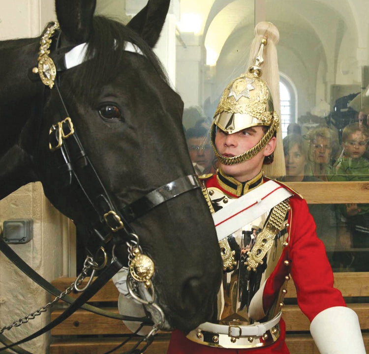 Household Cavalry Museum and Lunch