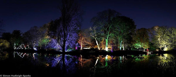 Feelgood festive Syon Park’s Enchanted Woodland