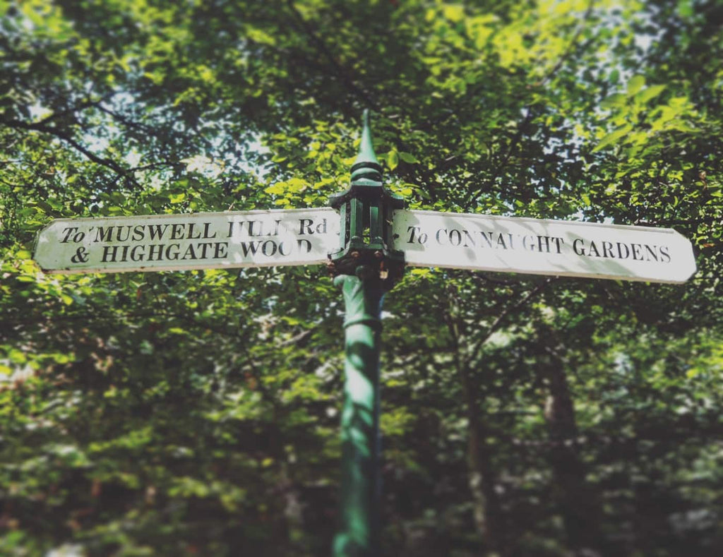 Secret Parkland Walk London