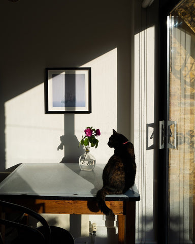London Instagrams to follow | Charlotte Bland