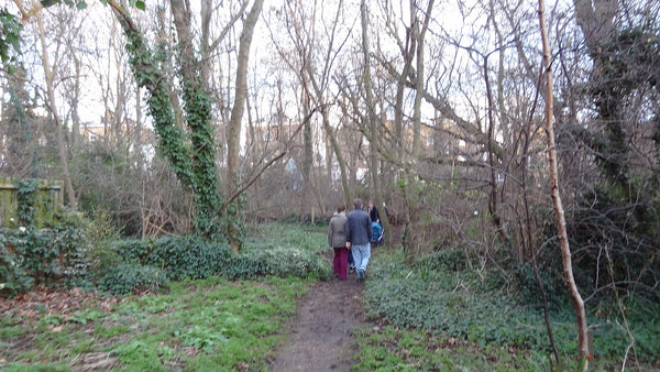 Date ideas for London in lockdown | Barnsbury Wood