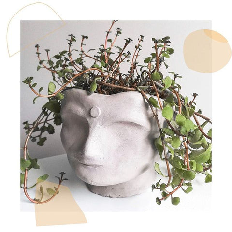 Clay Club Air Dry Clay