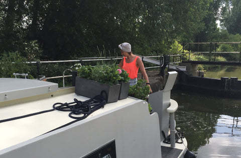 driving a canal boat