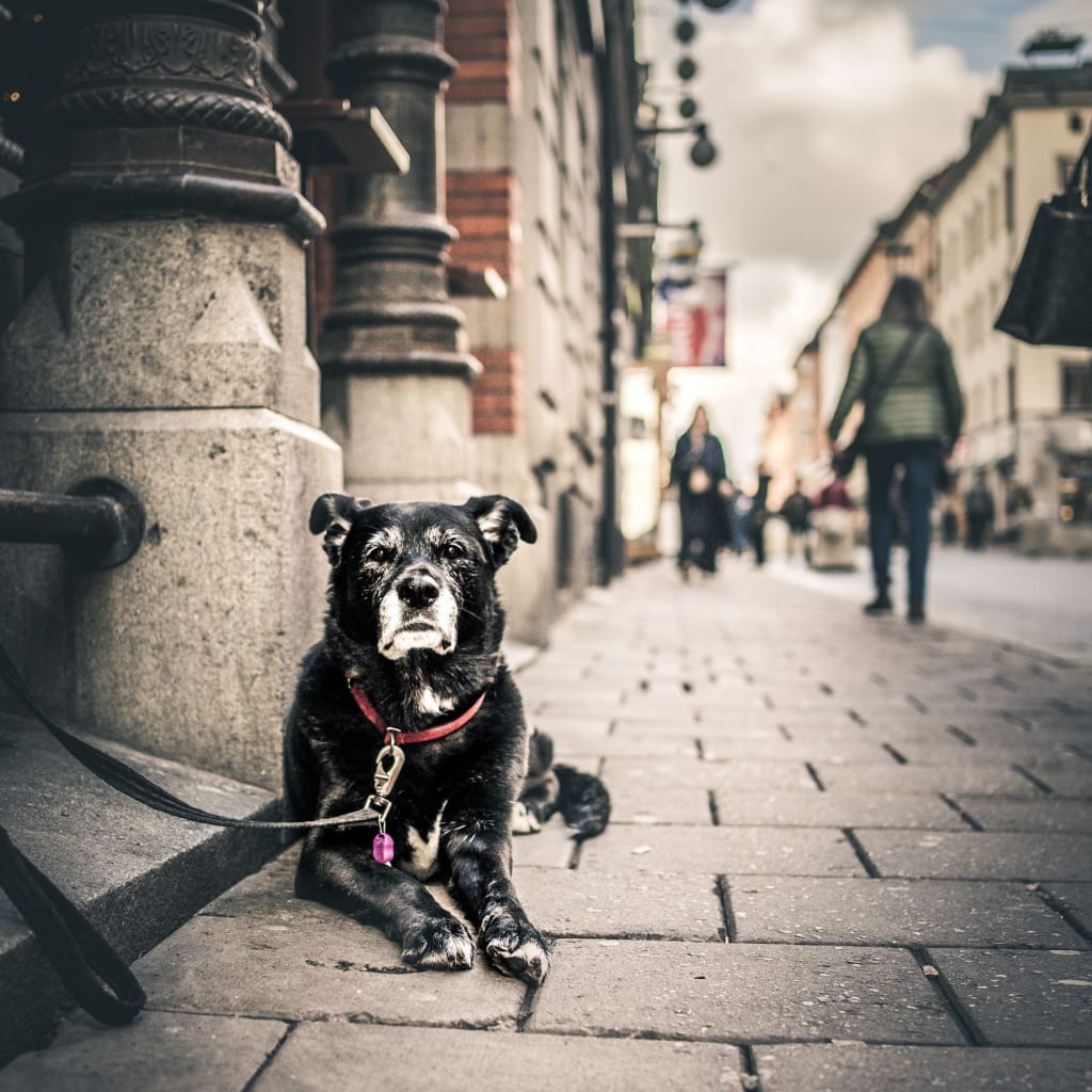 Old City Ghost Tour London