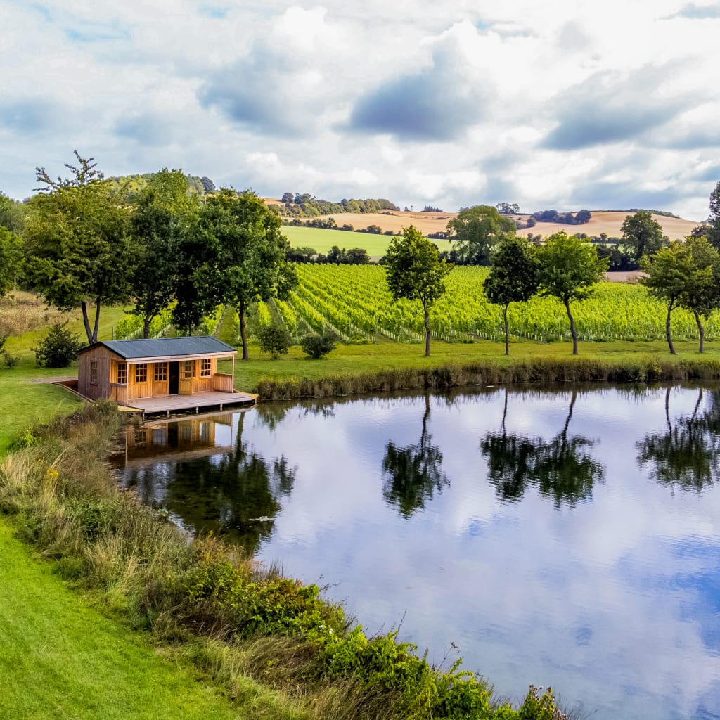 Tour & BBQ for Two at Wildshark Vineyard