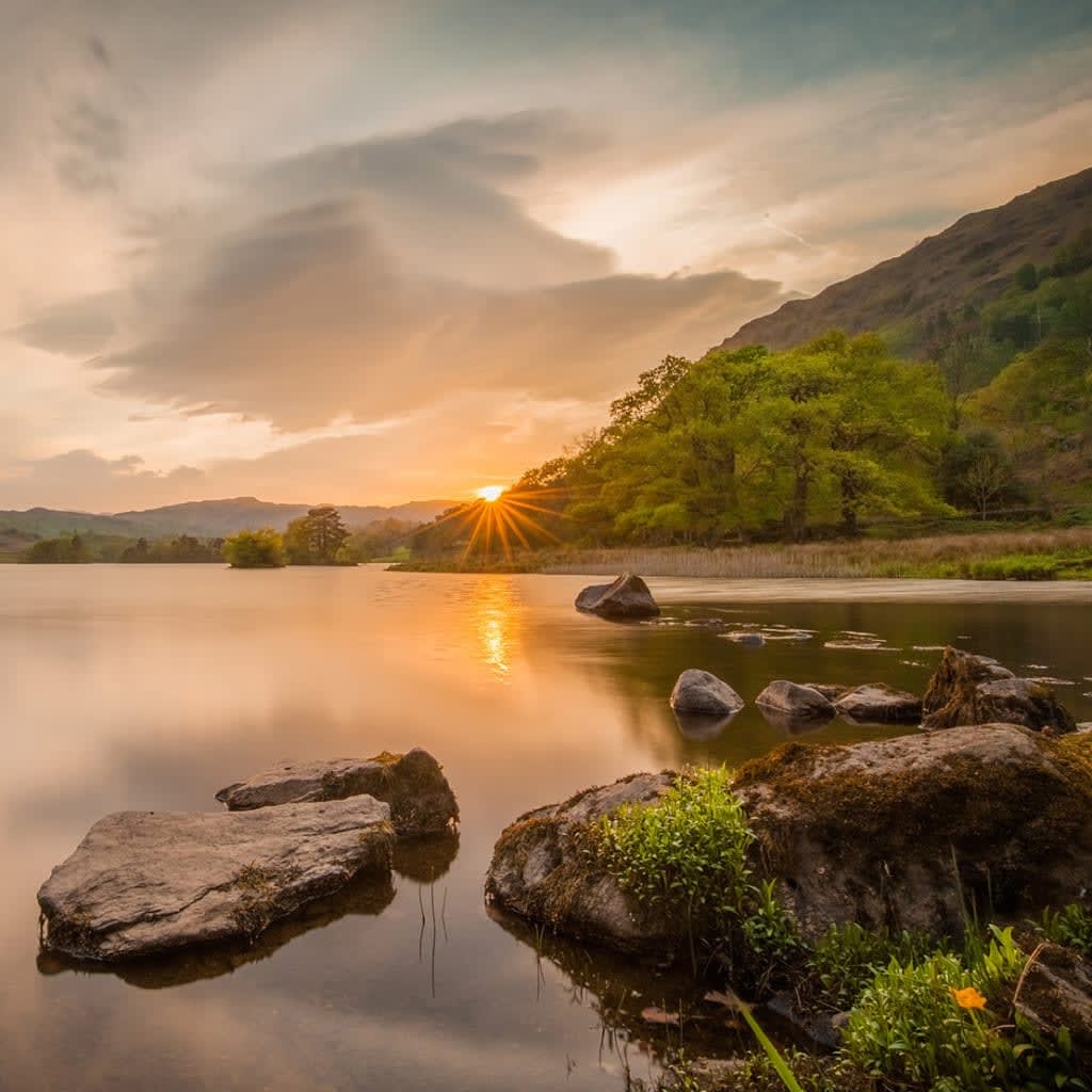 Forage and Fest for Two