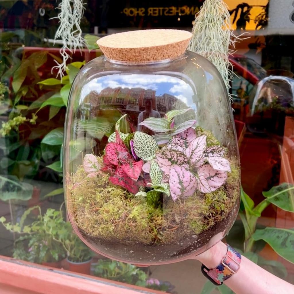 Terrarium Workshop, Leeds