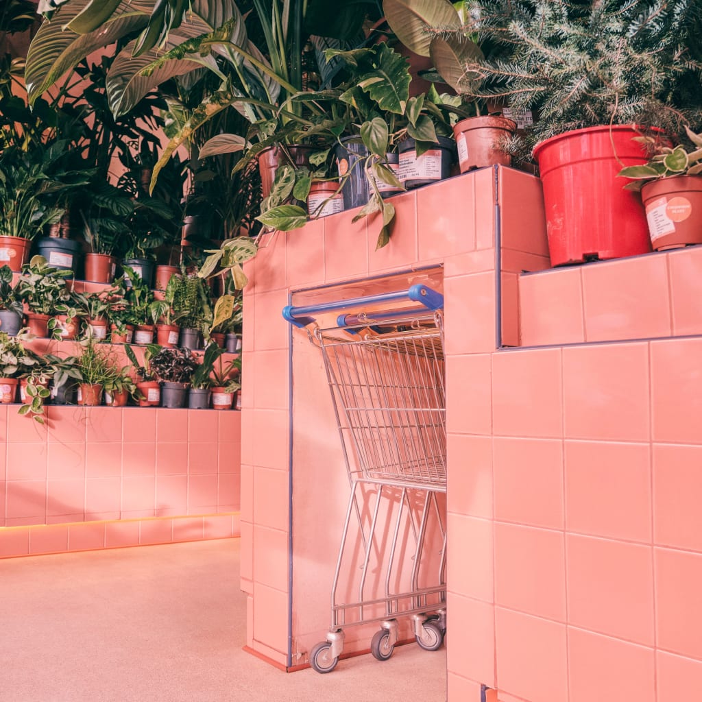 Terrarium Workshop, Leeds
