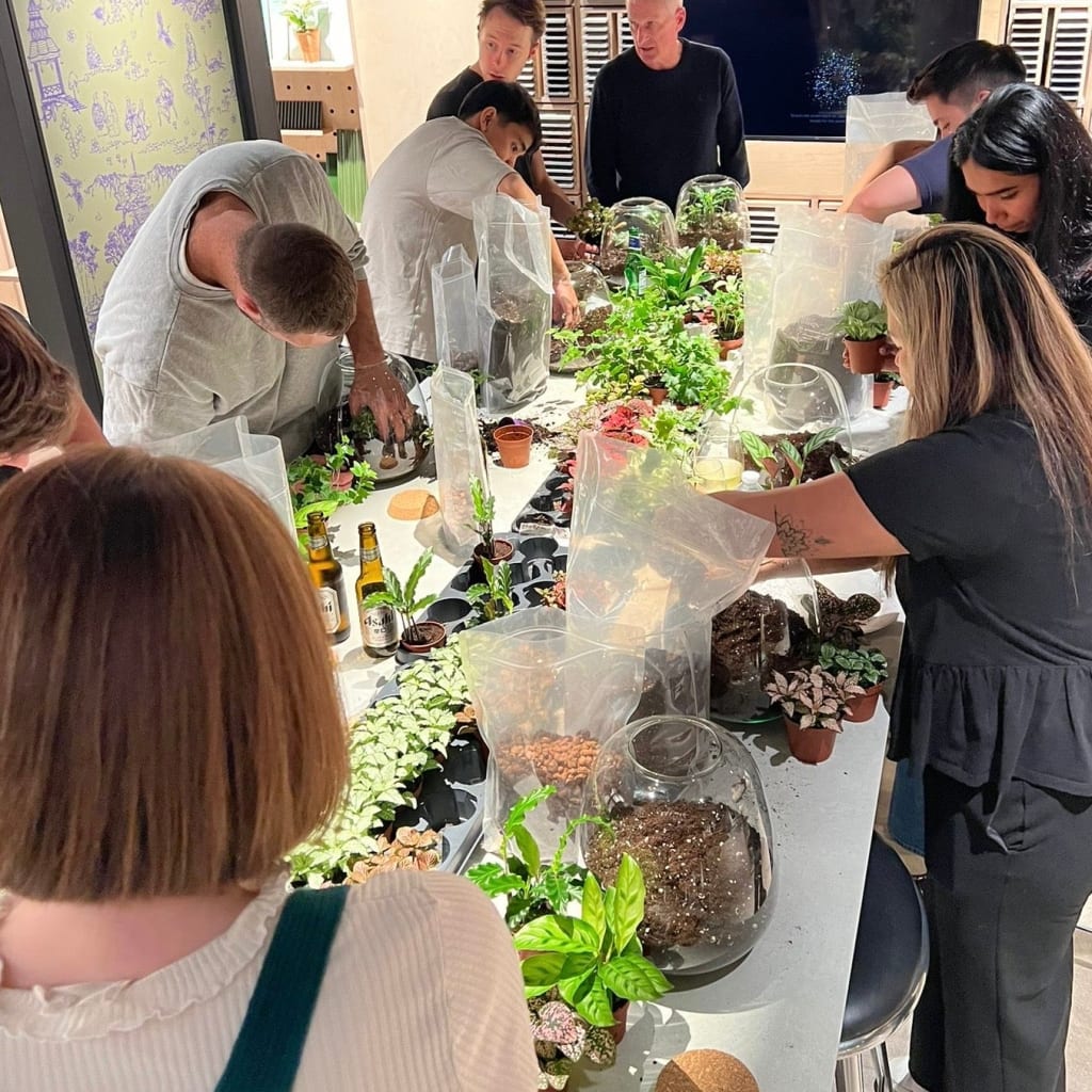 Terrarium Workshop, Leeds