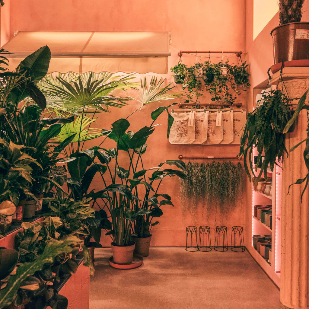 Terrarium Workshop, Leeds