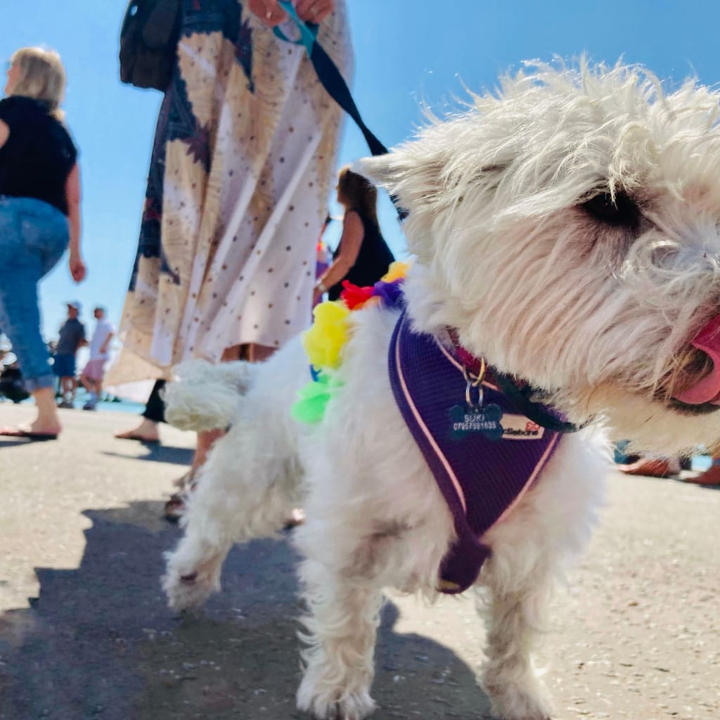 Street Photography Experience in Brighton