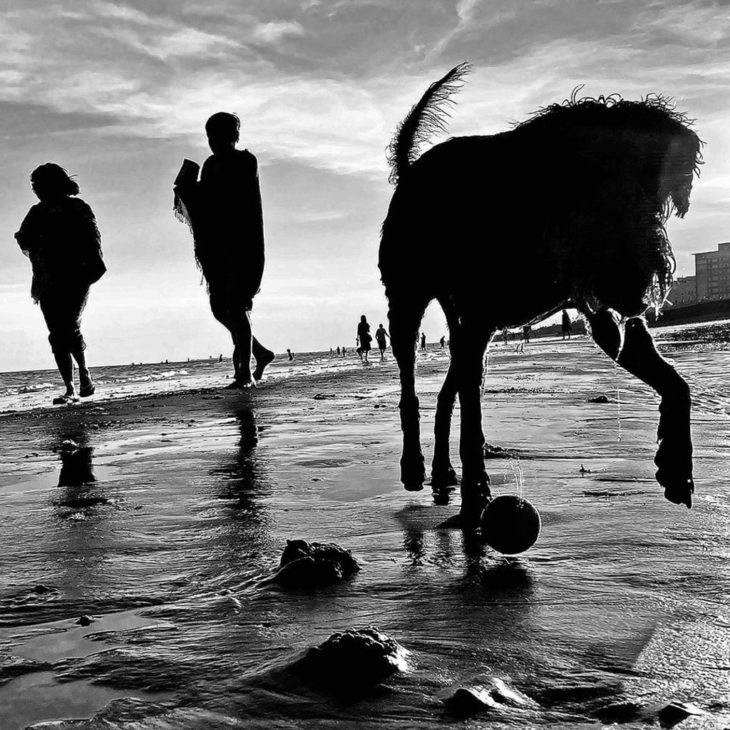 Smartphone Photography Experience in Brighton