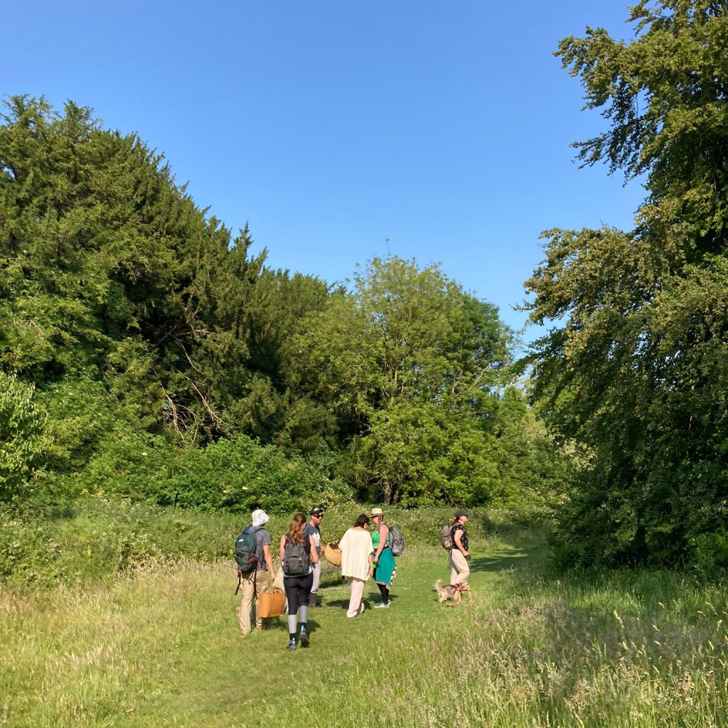 Forage & Feast Experience (Brighton)