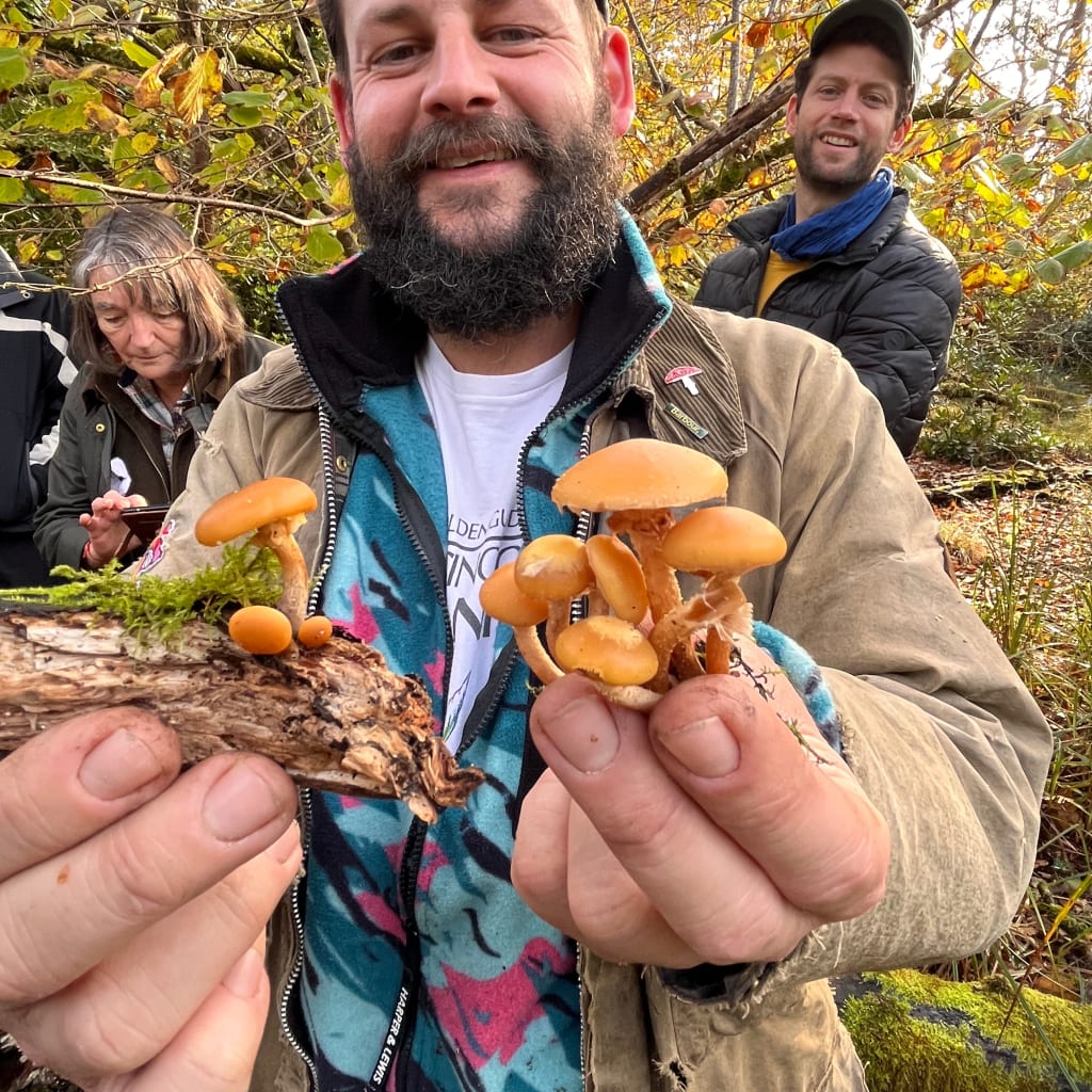 Forage London - The Edible City