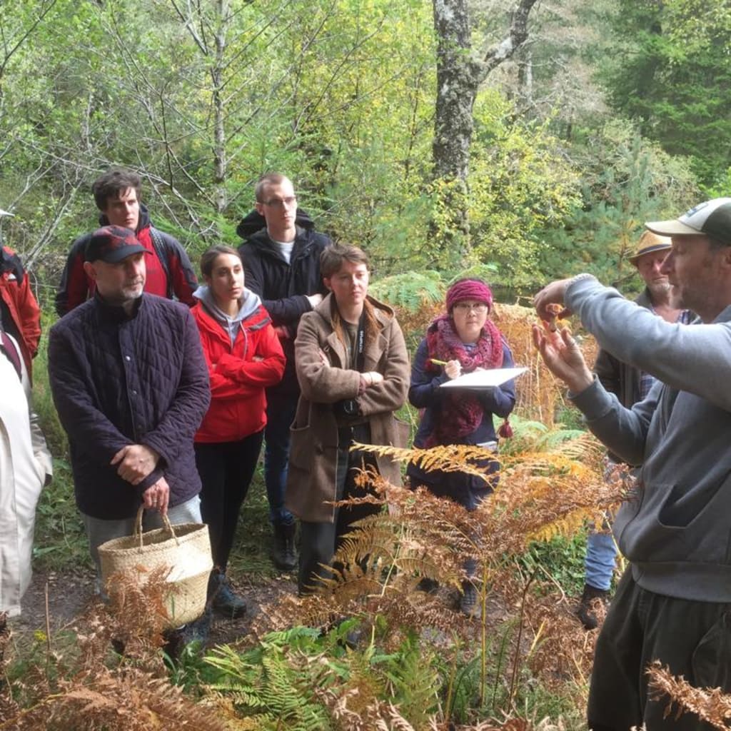 Forage London - The Edible City