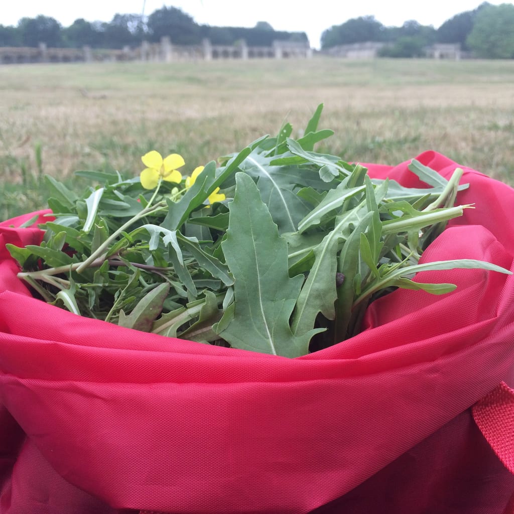 Forage London - The Edible City