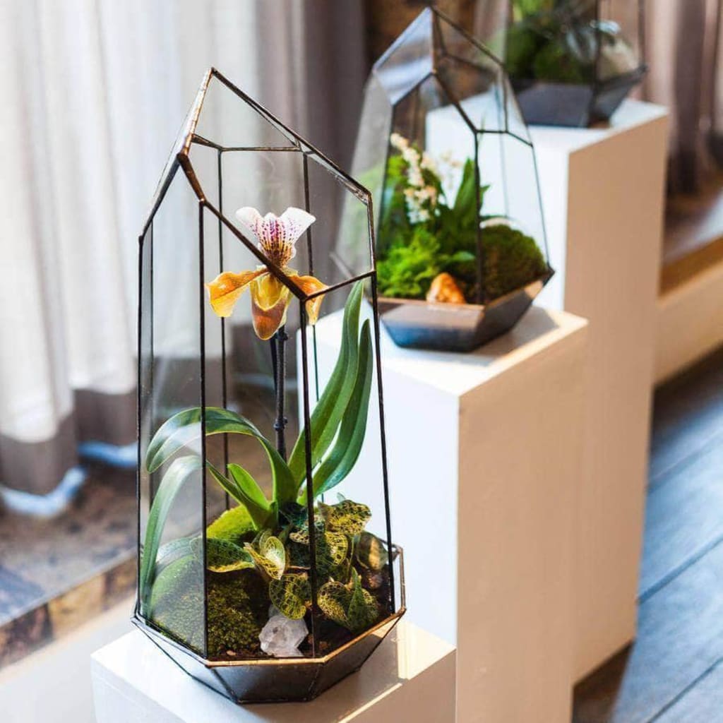 Terrarium Design School for Two