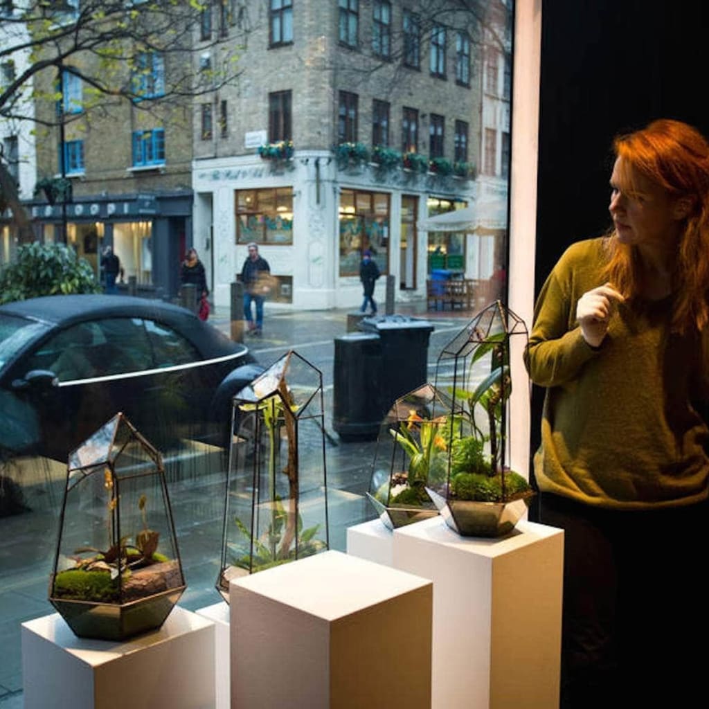 Terrarium Design School for Two