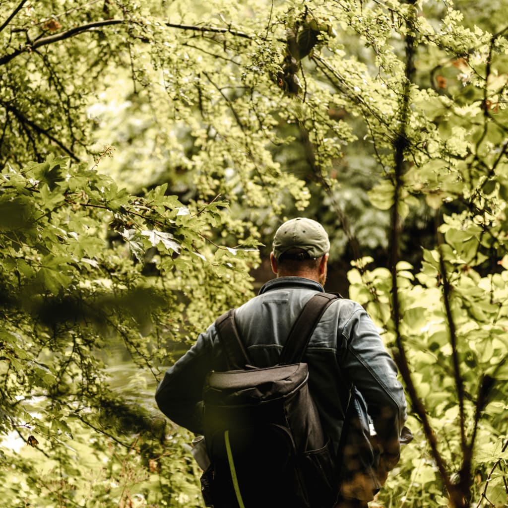 Flavour-Led Foraging Walk