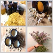 First Aid and Foraging