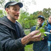 First Aid and Foraging