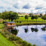 Tour & Sparkling Tea for Two at Wildshark Vineyard