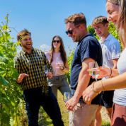 Tour & BBQ for Two at Wildshark Vineyard
