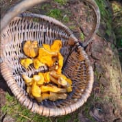 Forage and Fest for Two