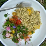 Wild Garlic Forage and Feast for Two