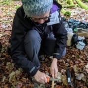 Wild Garlic Forage and Feast for Two
