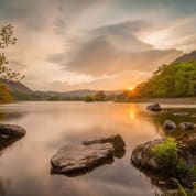Wild Garlic Forage and Feast for Two