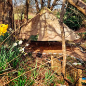 Yin Yoga and Soundbath Day (nr Brighton)