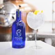 Gin Distillery Tour in Bristol