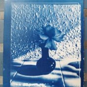 Cyanotype Print Making Workshop, Manchester