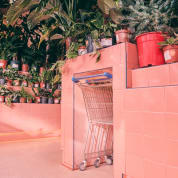 Terrarium Workshop, Leeds