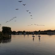 Sunset Paddleboard in Henley