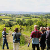 Wine and Cheese in The Cheddar Valley