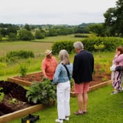 Wine and Cheese in The Cheddar Valley
