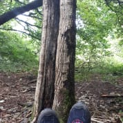 Forest Bathing in Liverpool: Your Journey into Nature
