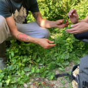 Forage & Feast Experience (Brighton)