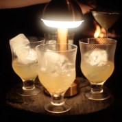 Cocktails, Folktales and Foraging
